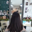 청담동 머리방