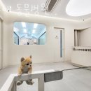 스무해 동물병원 이미지