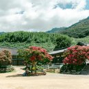 표충사주차장 이미지