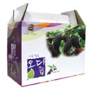 국일피앤피(주) 이미지