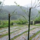 갈매기농장 이미지