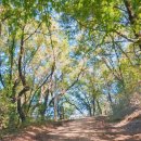 봉수대로주유소 이미지