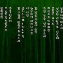 이파리 이미지