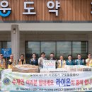 라이온스 이미지