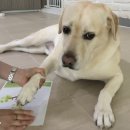 버드래미 이미지