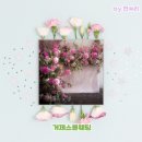 오션스카이 | 거제스몰웨딩 거제야외웨딩 오션스카이웨딩에서 꿈꾸던 파티 같은 결혼식 후기