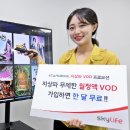 스카이라이프 이미지