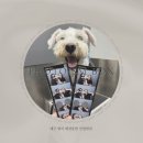 포토이즘박스범어4동점 이미지