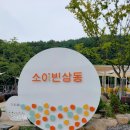 소이빈삼동 이미지
