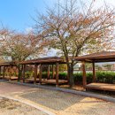 해미읍성역사캠핑장 이미지