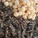 진양농장 이미지