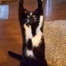 원당영상의학과의원 이미지