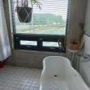 멀왓스테이 이미지