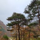 고산 제2농장 이미지