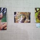 시아농장 이미지