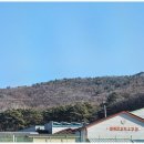 고양이 행복 쉼터 이미지