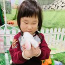 윤슬어린이집 이미지