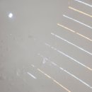 디테일링 스팀세차 이미지