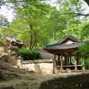 곡성
