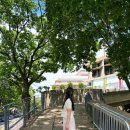 레드아이비마켓 | 보스턴 여행 필수코스! MIT, 하버드 대학교 아이비리그 당일치기 투어 코스