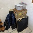 호야 달수 이미지