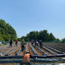 상영 경로당 이미지