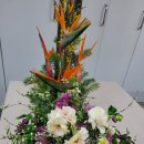 강남-286 이미지