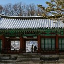 비원 이미지