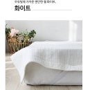 라비쉬앳홈 라지킹사이즈 피그먼트 순면패드 침대매트 침대패드 커버 후기