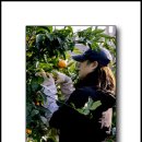 정환농장 이미지