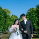 빛나 여행 일본어 | 해외웨딩스냅 후기｜도쿄 감성 가득한 웨딩사진 모음.feat사진작가추천