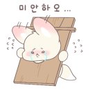 뉴이스케이프