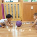 한솔어린이집 이미지