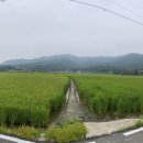 해들뫼 펜션 이미지