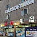 해물왕거제도굴구이 | 거제도 일출횟집 코끼리조개, 왕우럭조개 가격 내돈내산 후기 한화리조트 근처 맛집