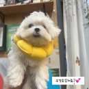 고래맥주창고 현풍점