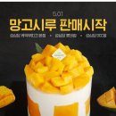시루 네이버블로그