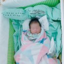 모이몰른(광주에덴점) 네이버블로그