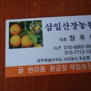 삼일산장 이미지