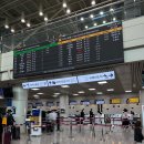 557 | 청주공항 나트랑행 에어로케이 RF557 탑승 후기 나트랑 입국 패스트트랙? ✈️