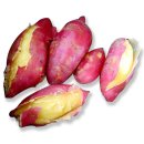 태릉본비뇨기과의원 이미지