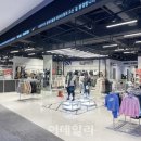 모이몰른앤컬리수 이미지