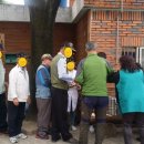 당리본동할머니 이미지