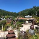 메밀꽃필무렵 이미지