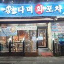 다미포차 이미지