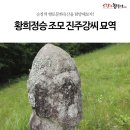 정부인 강씨 묘역 및 석물 | 2021년 순창군 향토문화유산 지정, 황희정승 조모 정부인 강씨 묘역과 석물