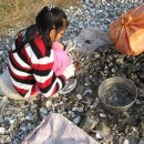 삼동면 전도3 이미지