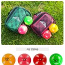 프라임골프클럽 | 프라임 파크골프채 세트로 입문한 솔직 후기 (국산 4스타 추천)