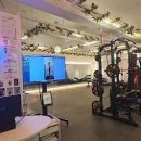 다비드 핏 이미지