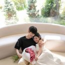 디하우스 이미지